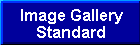 Image Gallery standard