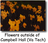 Flowers outside of 
Campbell Hall (Va Tech)