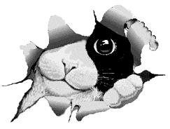 animals index