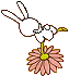 Back to Flower Meanings