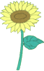 I'm Sunflower