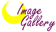 Image Gallery