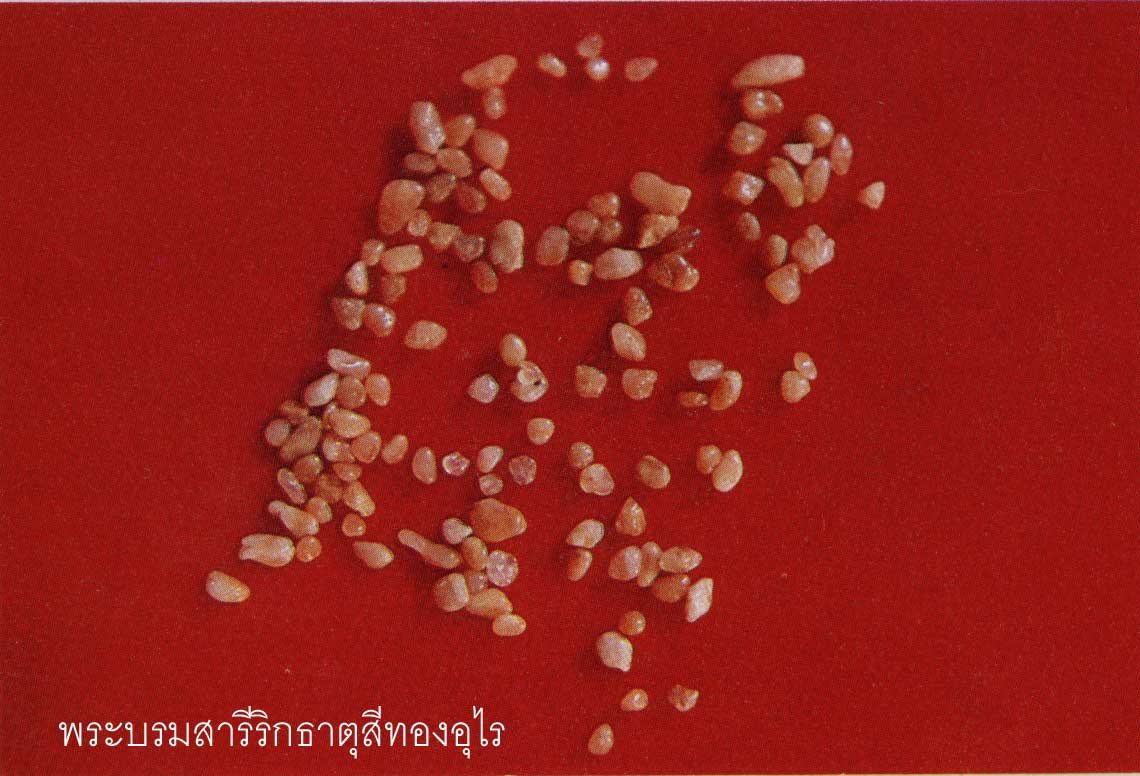 t01.jpg (85677 bytes)