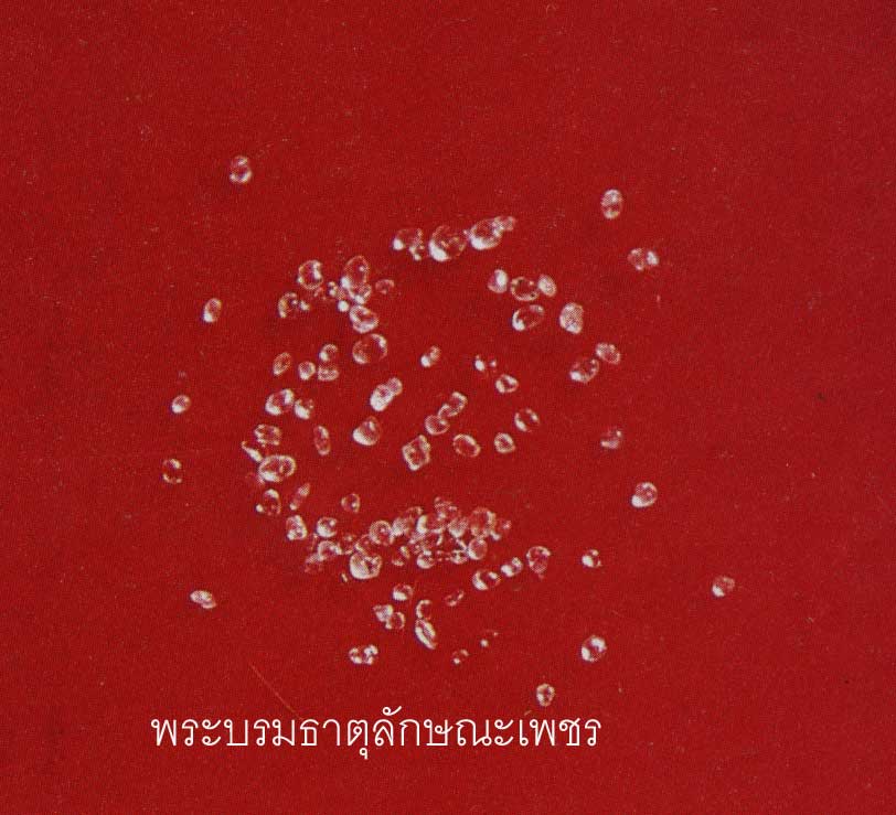 t02.jpg (54074 bytes)