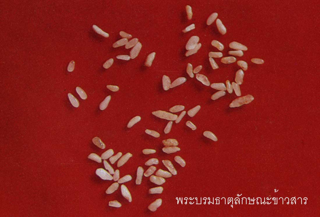 t03.jpg (79112 bytes)