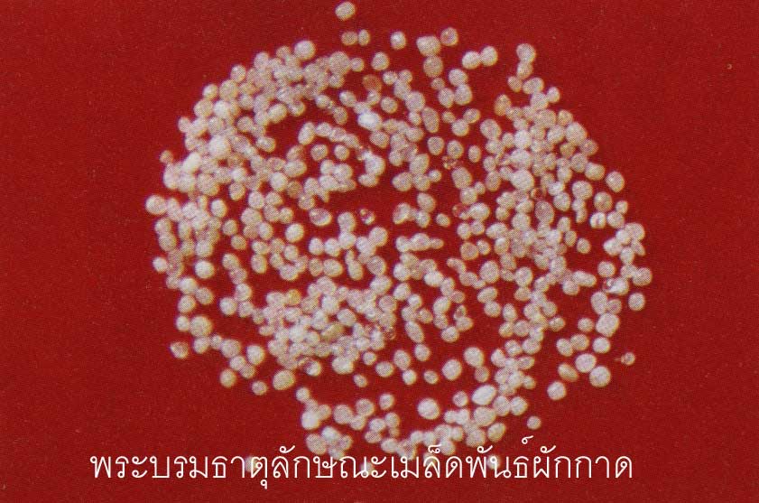 t04.jpg (70018 bytes)