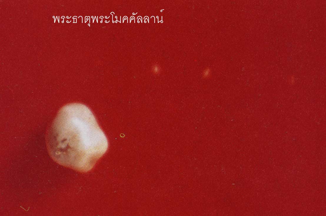 t05.jpg (60068 bytes)