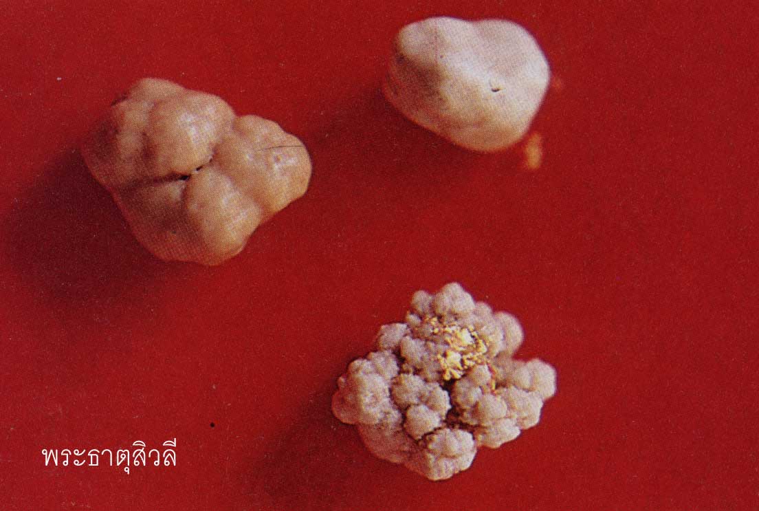 t06.jpg (72927 bytes)