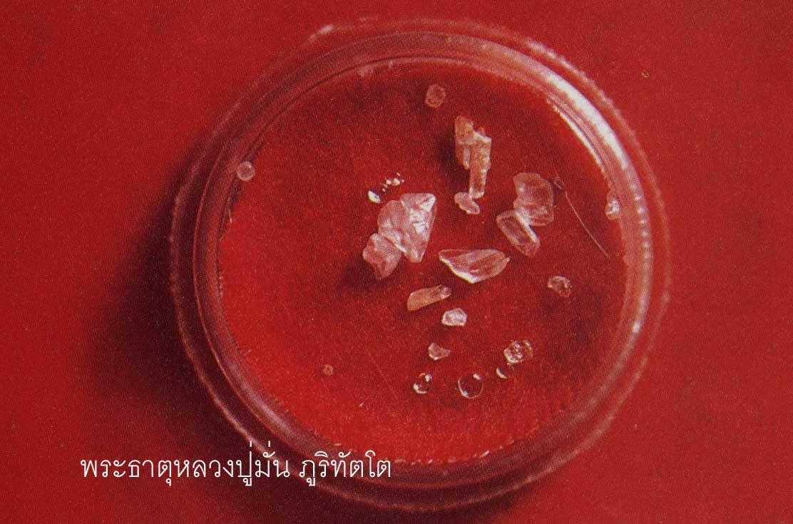 t07.jpg (85475 bytes)