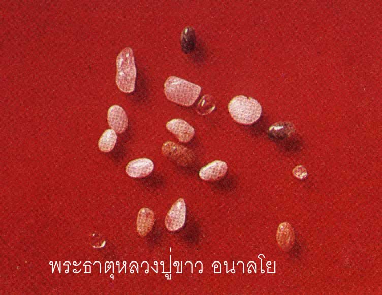 t09.jpg (48117 bytes)