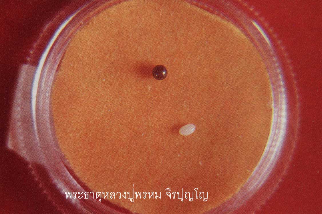 t11.jpg (107461 bytes)