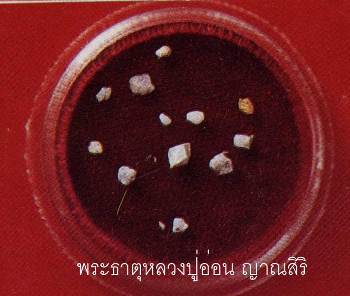 t12.jpg (49670 bytes)