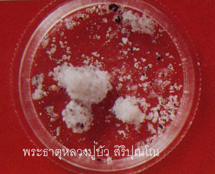 t13.jpg (66776 bytes)