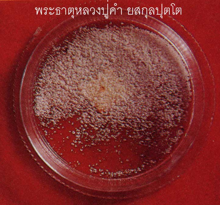 t14.jpg (89767 bytes)