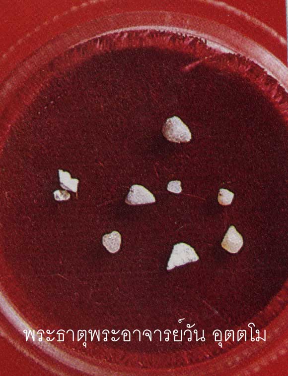 t15.jpg (55472 bytes)