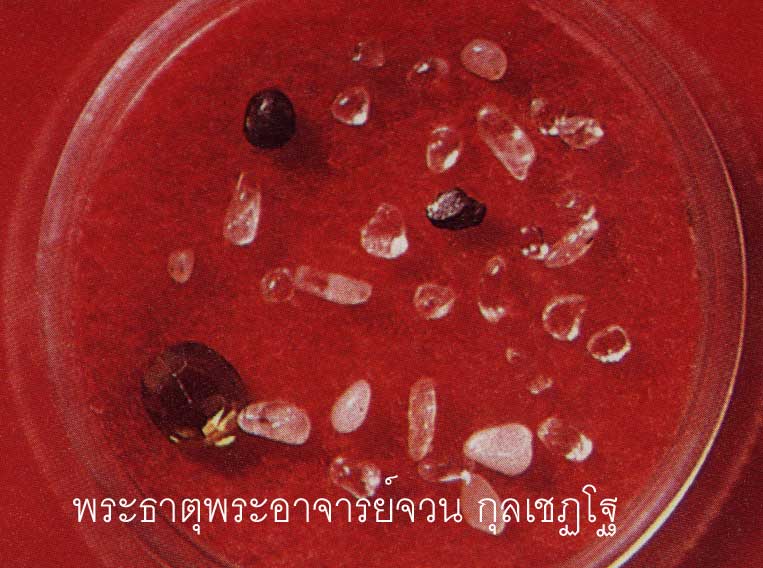 t16.jpg (55147 bytes)