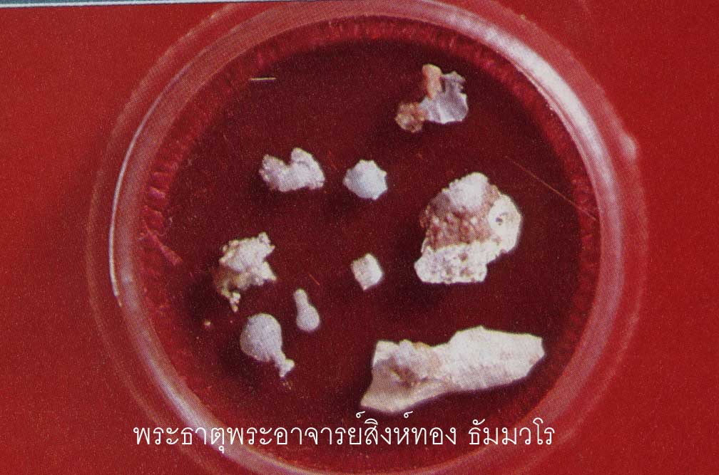 t17.jpg (80804 bytes)