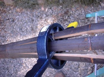 bamboo3.jpg