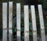 bamboo4.jpg