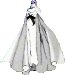 Moonlight Knight