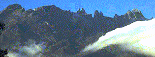 kin1.gif (15028 bytes)