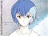 rei1.jpg