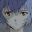 animated - rei.gif (30507 bytes)