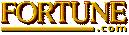 Forturn 500