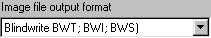 BlindWrite file format