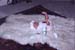 005-akane_infant_sheep_skin