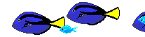 sakanhagi.gif (8437 bytes)