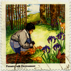 Forestry
