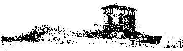 House Landscape