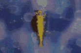 outher.gif (176382 bytes)