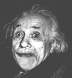Albert