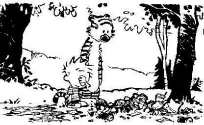 on the destruction of forests