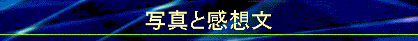 �ʐ^�Ɗ��z��