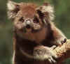 koalab.jpg (80381 �Ӧ줸��)