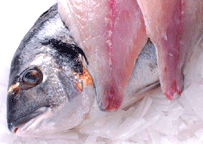 Image of Sea Bream