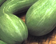 Image of Zucchini
