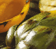 Mexican Vegetable and Salad Recipes