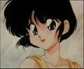 thumbnail of your picture #8
