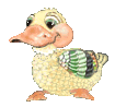 I'm NO Peking Duck!                                    (c) Kitty Roach