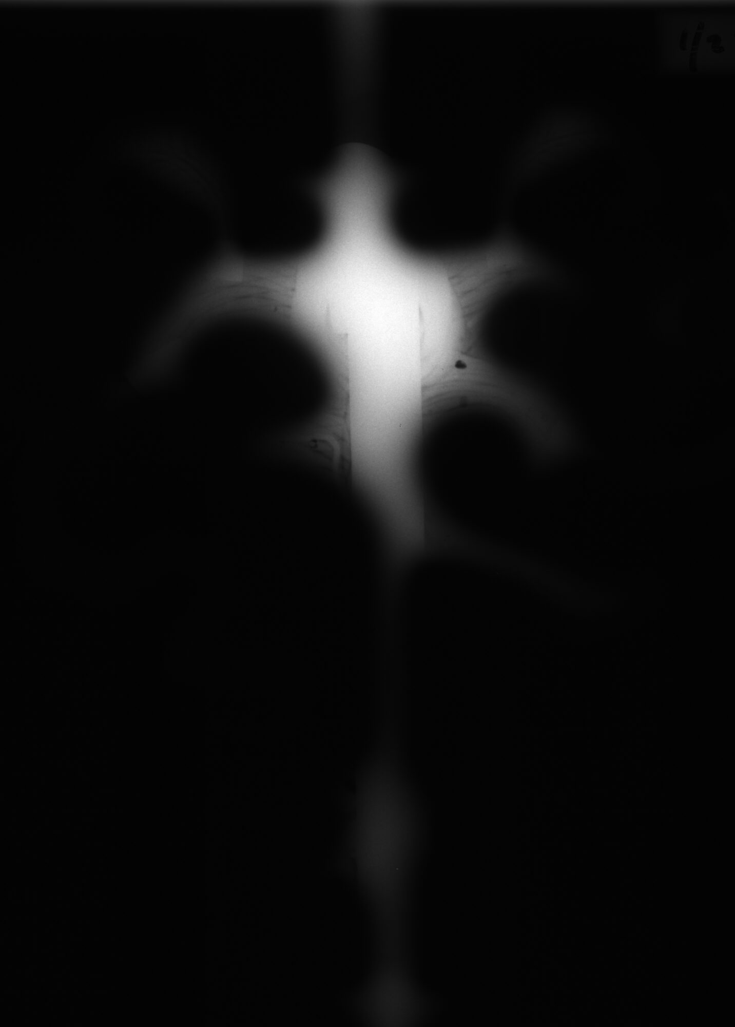 mystery object X-ray 2