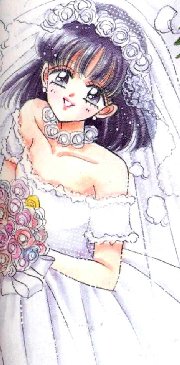 Hotaru the Bride