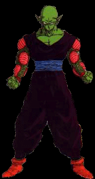 piccolo.gif (21382 bytes)