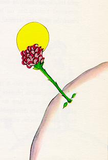07a.jpg (7264 bytes)
