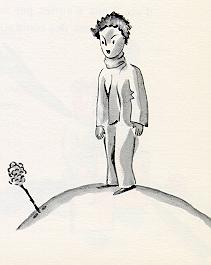 08a.jpg (7005 bytes)