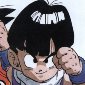 Son Gohan
