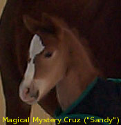New Baby - Sandi
